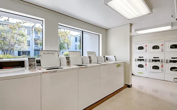 2 bed, 1.5 bath, 950 sqft, $1,500 — Photo 3