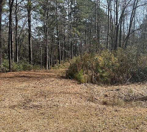 5th image of 1602 Paul Barnes Road