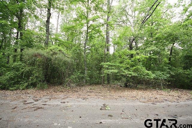2nd image of Lots 1 2 Sec 6 Valleywood Trl