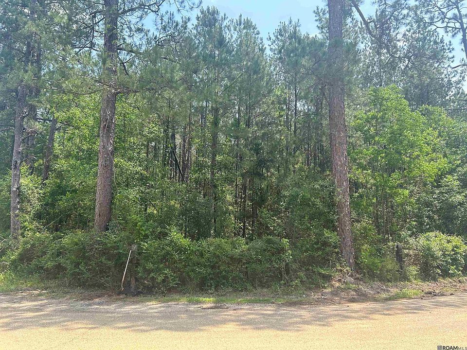 2nd image of 11410 Tantela Ranch Rd