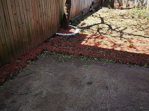 RENOVATED Apr 2020 -Backyard