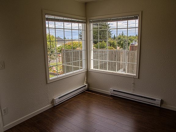 Living room windows