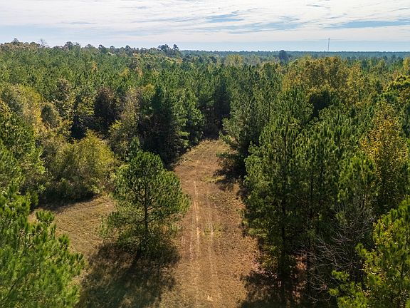 2nd image of Little Coontail Rd