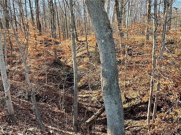 5th image of 6950 S State Road 243