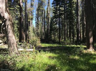 0 Donner Pass Rd, Kingvale, CA 95728