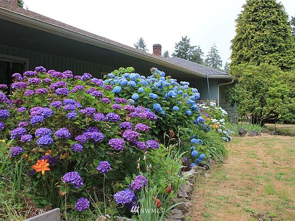 Gorgeous flowers wrap the front of your home