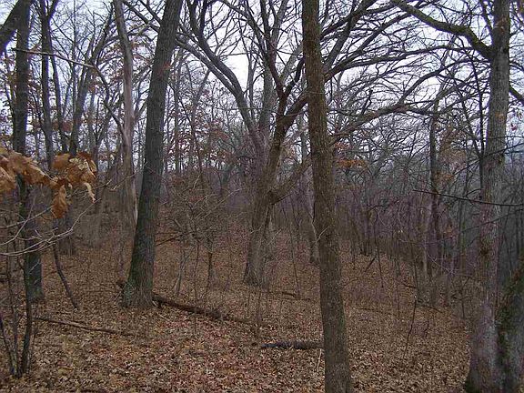 3rd image of 5012 Pikes Peak Rd