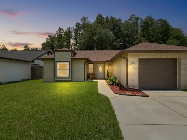 12832 Coverdale Dr, Tampa, FL 33624