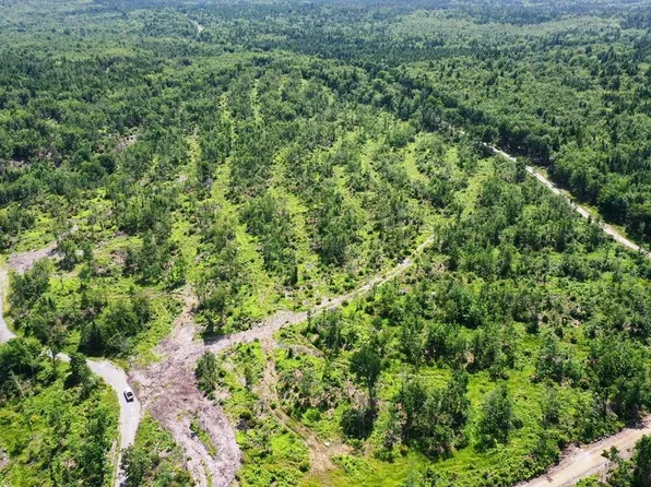 Lot 1 West Bog, Shirley, ME 04485