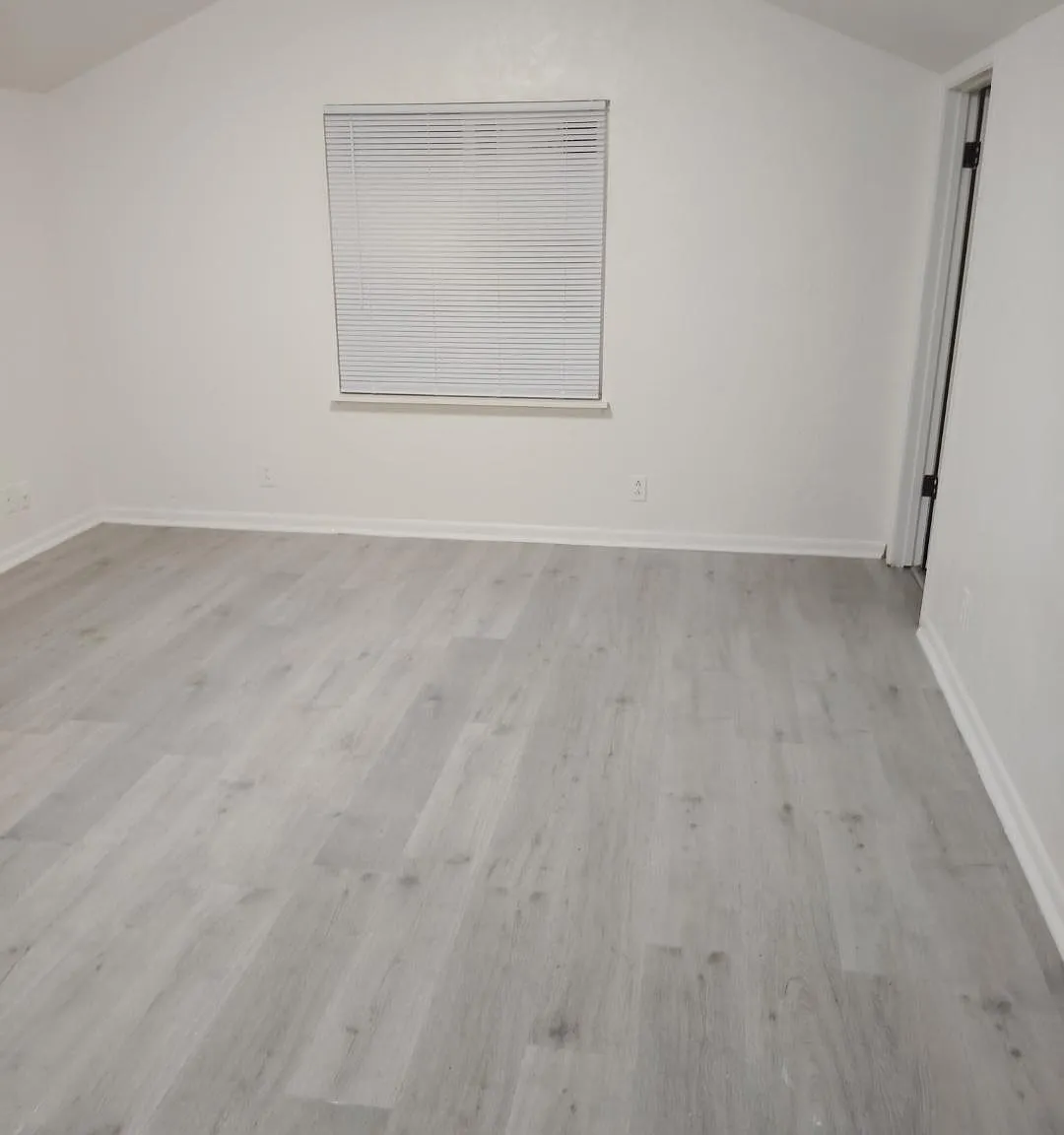 Studio, $800 — Photo 1