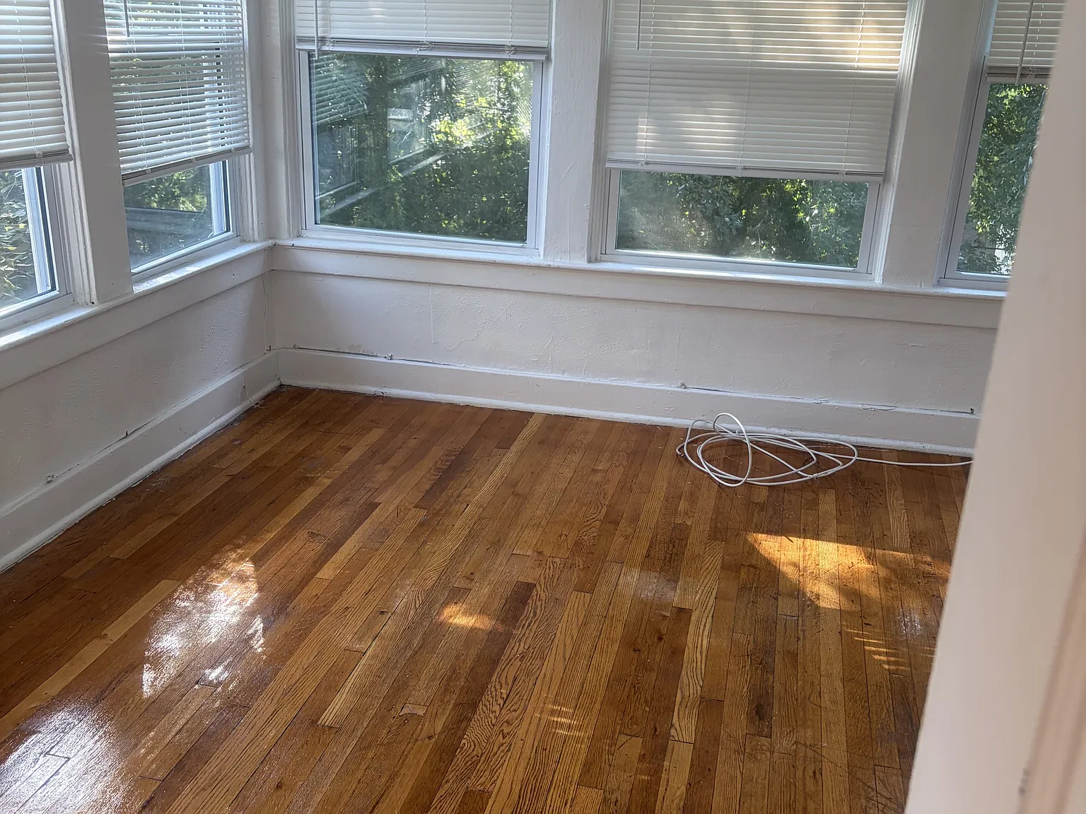 3436 Chestnut Avenue - 1 — Photo 4