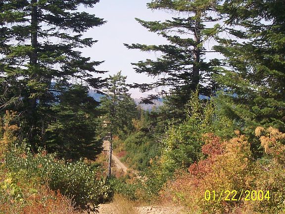 5th image of 2792 Monarch Rd