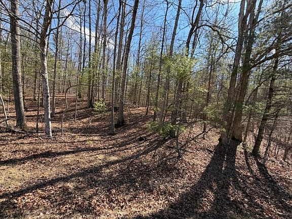 4th image of LOT 8 Walton Furnace Rd