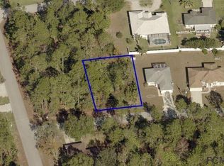 3 Phoenix Ln, Palm Coast, FL 32164