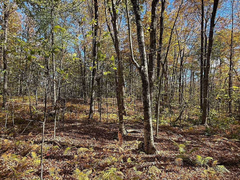 1st image of LOT 1B Hamilton Rd