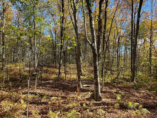 LOT 1B Hamilton Rd, Becket, MA 01223