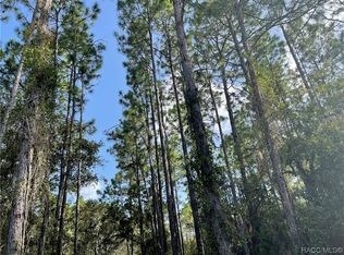 6522 W Mina Ln, Dunnellon, FL 34433