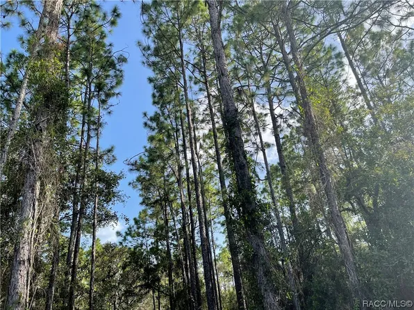 6522 W Mina Ln, Dunnellon, FL 34433