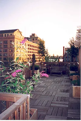 Rented by Compass | media 19