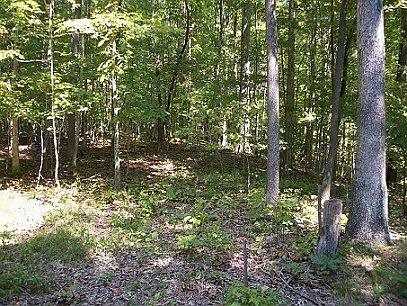 2nd image of 1183 Big Sandy Rd
