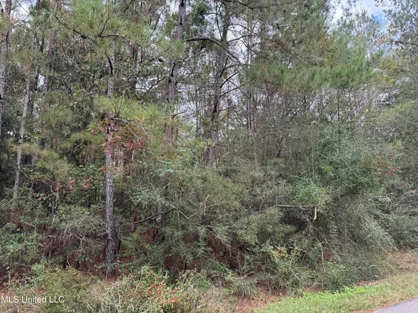 0 Dupont Harts Chapel Rd, Poplarville, MS 39470
