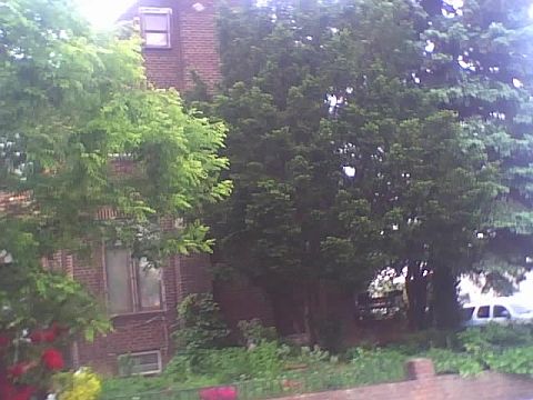 Westside View