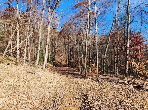 0 Briar Mountain Rd, Rocky Mount, VA 24151