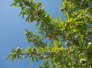 8972 Palermo Honcut Hwy, Palermo, CA 95966