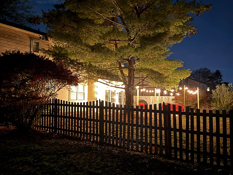 View looking into the backyard from side street.
