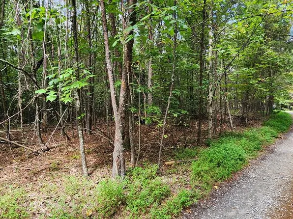 14 Donna Lee Ln, Mineral Bluff, GA 30559