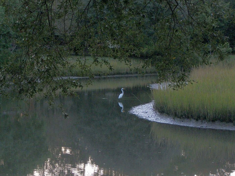 Tidal Pond