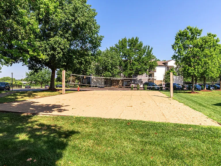 Volleyball Court