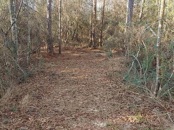 3rd image of 4874 Seely Rd