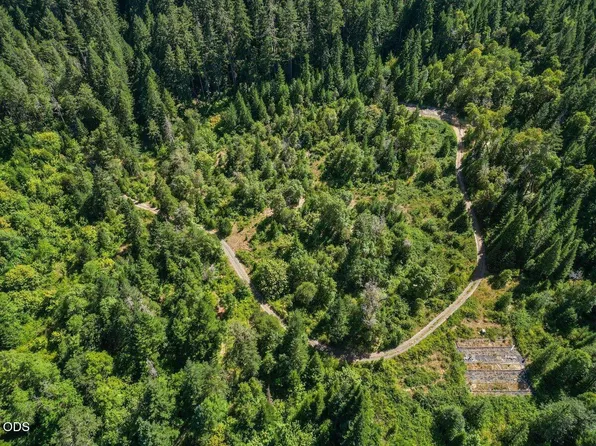 433 Old Stage Rd, Wolf Creek, OR 97497