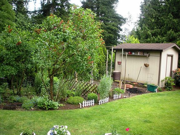 5th image of 11719 46th Ave NE