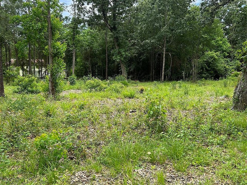 2nd image of 12 Timberglen Dr
