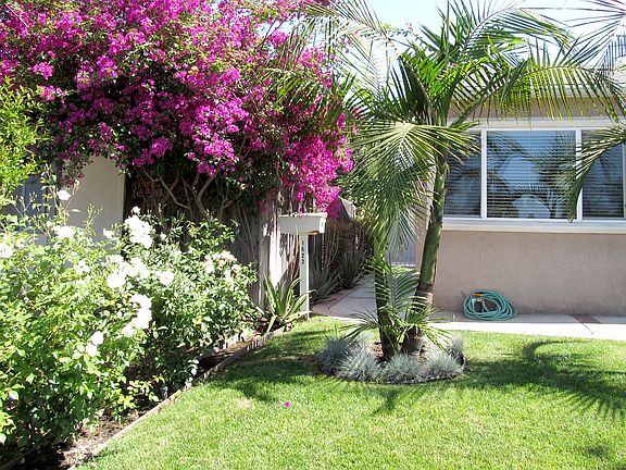 Entrance and Mail Box