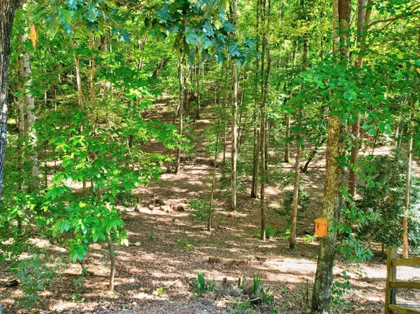 Morning Dew Holw, Morganton, GA 30560