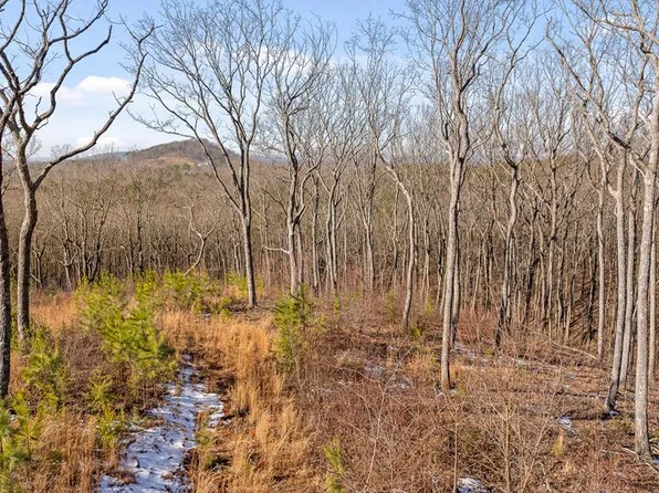 LOT 9 High Summit Dr, Talking Rock, GA 30175