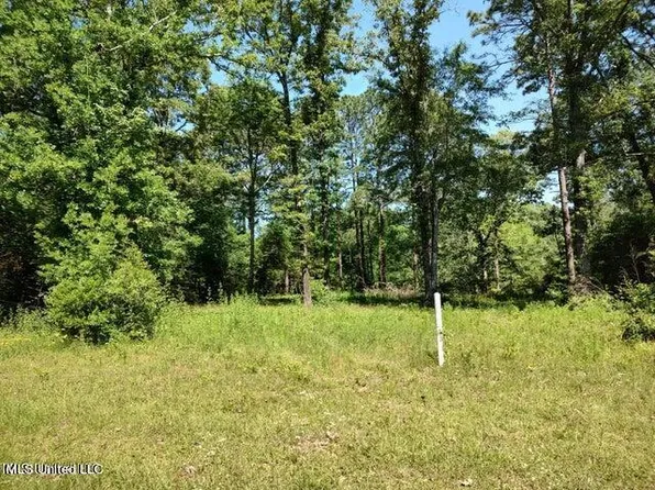 Pearl River Hwy 59, Lumberton, MS 39455