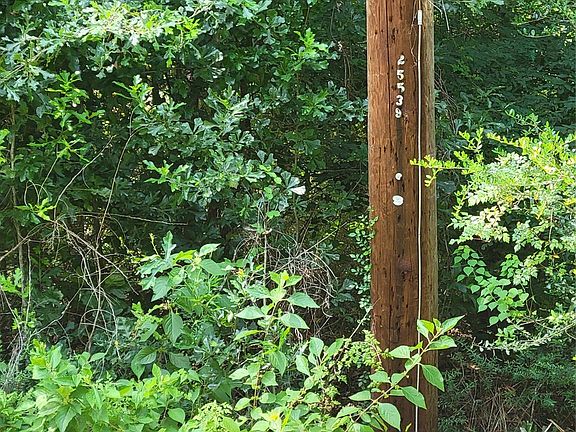 4th image of 27735 Mid Ln