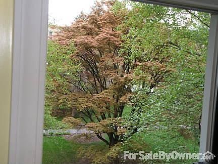 View from Bedroom