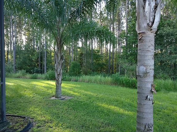 4th image of 7608 Crescent Palm Dr