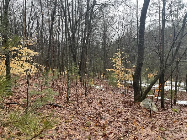 16954 Eight Mile Rd, Reed City, MI 49677