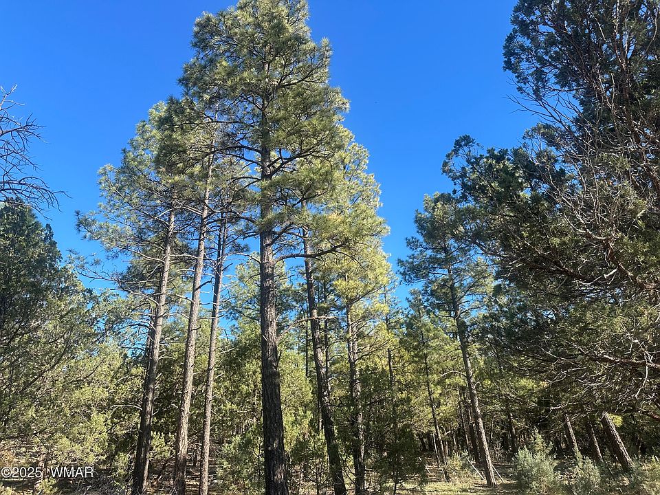 2nd image of Rodgers Rd