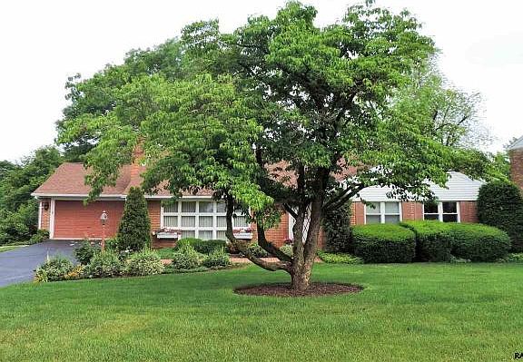 2nd image of 125 Shelbourne Dr