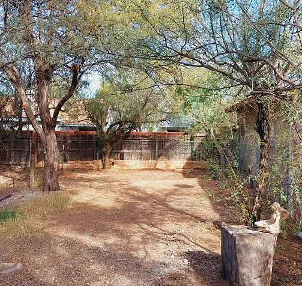 3225 E Patricia St — Photo 5