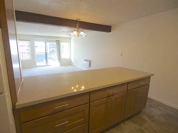 Villa Anita 2231 Franklin Ave E — Photo 2