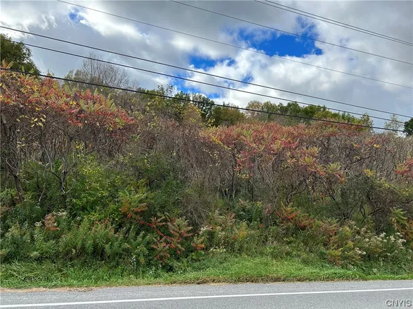 LOT 1 Apulia Rd Lot 1, La Fayette, NY 13084
