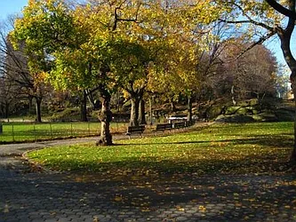 Rented by Great Hill Equities